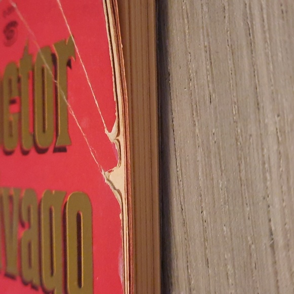 Secret Journal "Doctor Zhivago" - Picture 6 of 6